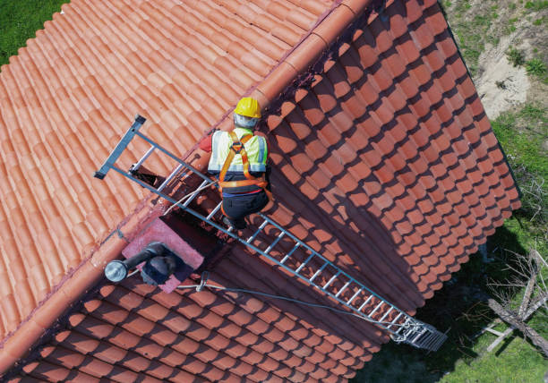 Best Roof Maintenance and Cleaning  in Martsville, IN